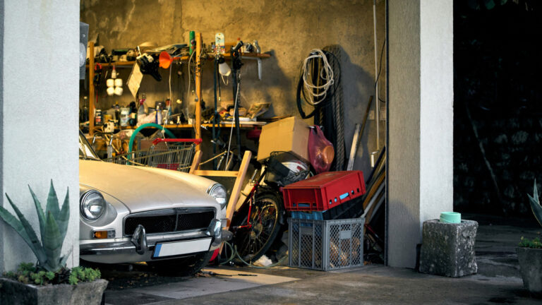 Removing Mold from Your Garage: A Guide to Effective Cleaning and Prevention